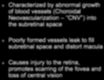 Neovascularization CNV ) into the