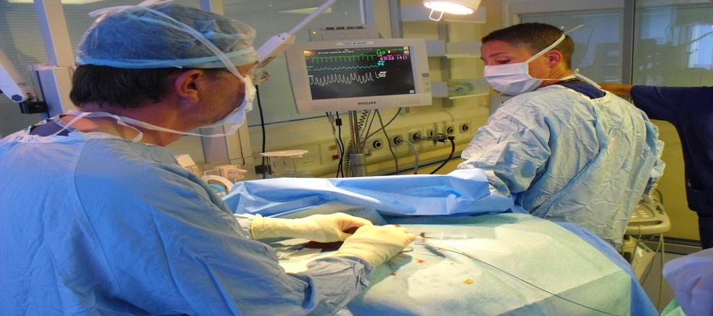 The Congenital Interventional Cardiologist