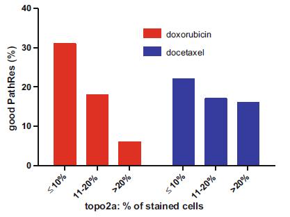 TOP-2A: preclinical study and prognostic impact TOP2A expression TOP2A RNA levels 782 pts with Node-BC, No Adjuvant Therapy Martin M, et al BCRT