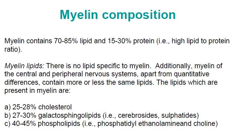 148 149 Myelin composition bottom-31 150 151 152 153 154 155 156 157 Myelin contains 70-85% lipid and 15-30% protein (i.e., high lipid to protein ratio).