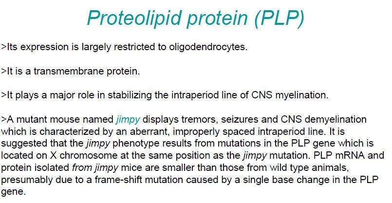 204 205 Proteolipid protein (PLP)- Largely in CNS Myelin top-34 206 207 208 209 210 211 212 213 214 Its expression is largely restricted to Oligodendrocytes (CNS). It is a transmembrane protein.