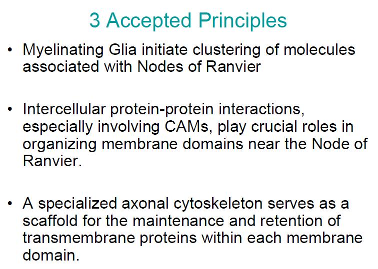 283 284 Three Accepted Principles Regarding Nodal Formation top-38 285 286 287 288 289 290 291 292 293 Myelinating Glia initiate clustering of molecules associated with Nodes of Ranvier.