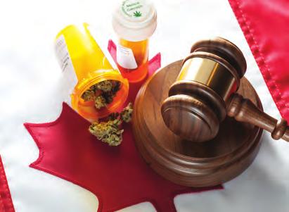 3 MEDICINAL CANNABIS This section provides an overview of the existing regime governing medical use of cannabis: what is allowed, what is prohibited, and the roles and responsibilities of the key