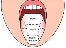 Stimulus Similar to olfaction, the stimulus is a molecule It must be soluble in water (saliva)