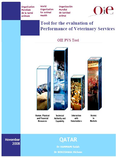 Fundamental Components of the OIE Tools for Evaluation of Performance of the VS 1.