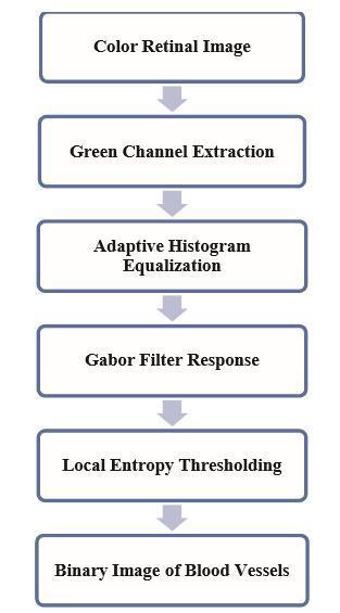 Optimized Gabor filter methods often give false positive detections and fail to detect vessel of different widths.