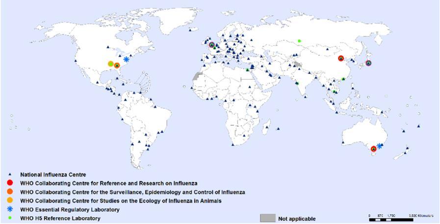 WHO Global Influenza Surveillance and Response System (GISRS)