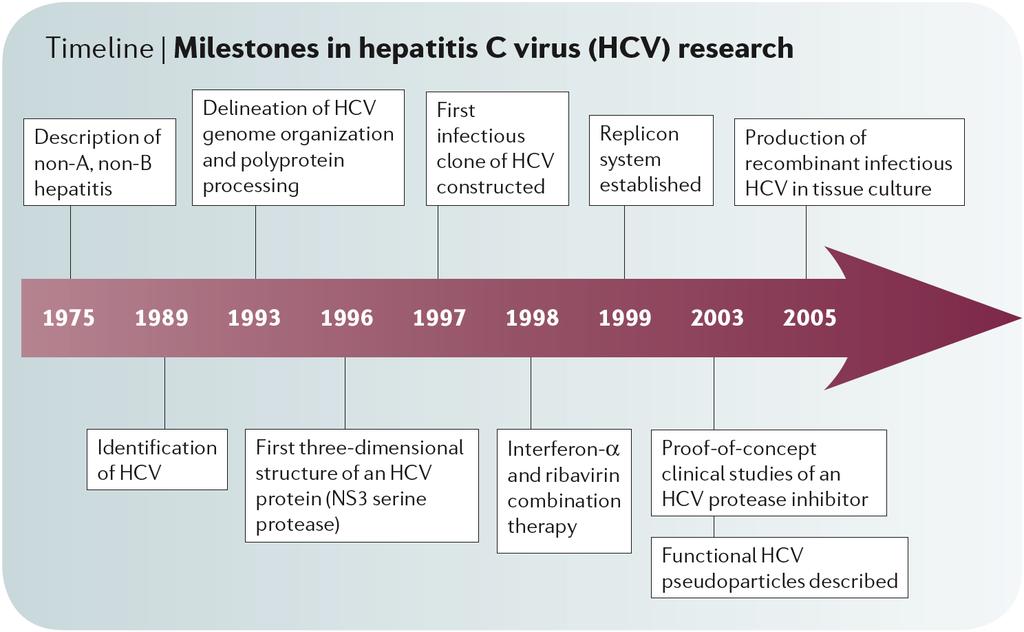 Hepatitis C Virus Life Cycle Description of non-a, non-b Delineation of HCV genome organization and polyprotein processing First infectious clone of HCV constructed Replicon system established