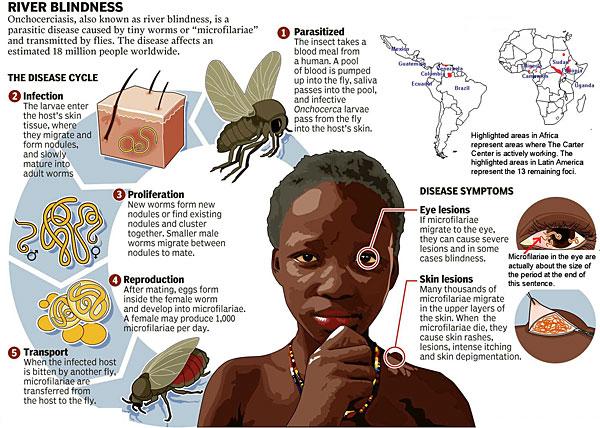 Figure 3: Diagramatic Explaination of Onchocerciasis RACE Onchocerciasis does not have a racial predilection.