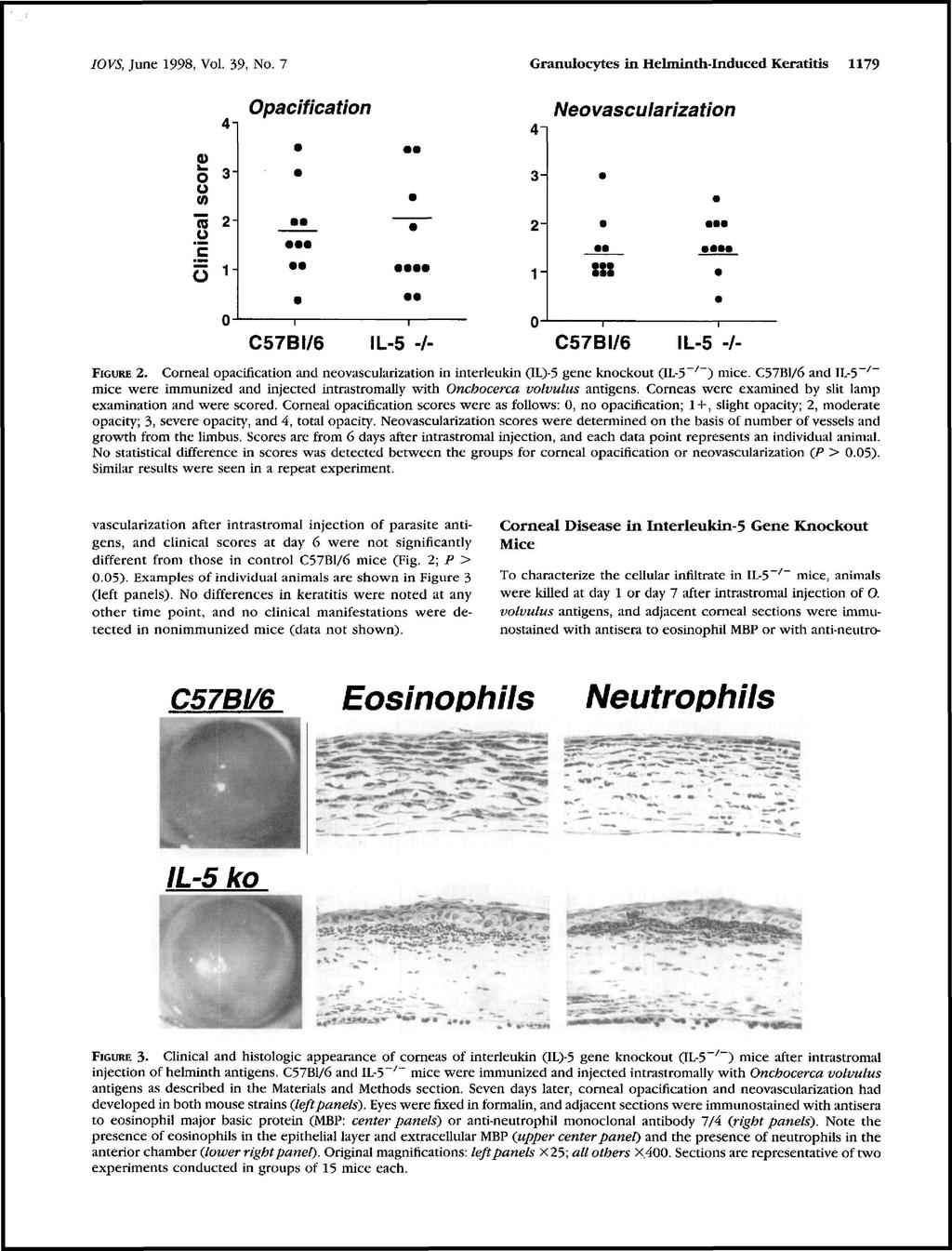 Granulocytes in Helminth-Induced Keratitis IOVS, June 1998, Vol. 39, No. 7 Opacification 9* o 1179 Neovascularization 3" 3- o 75 "E 2-2" O 1-1- IL-5 -/- IL-5 -/- 2.