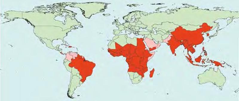 Global Distribution of Filarial Infections Red =