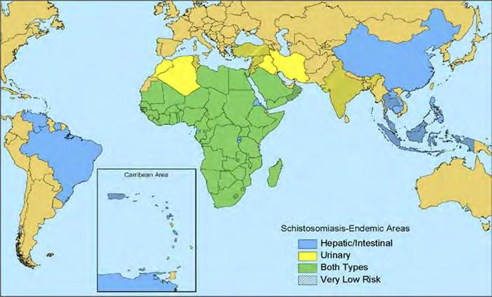 Eosinophilia in West Africa