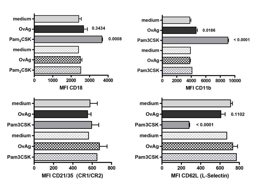 Results 39 Figure 3.9. Neutrophils were purified from C57BL/6 and TLR2 -/- mice and stimulated with OvAg.