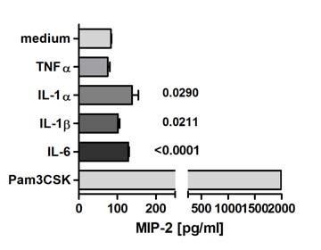 Results 57 Figure 3.28. Stimulation of C57BL/6 neutrophils for 18 hours with ril-1α, ril-1β or ril-6, but not with rtnfα inreased the production of MIP-2.