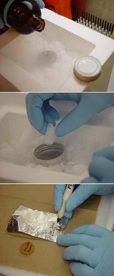 PREPARATION FOR FREEZING MUSCLE TISSUE Fill a container half full of isopentane (about 100ml). Surround the container with dry ice.