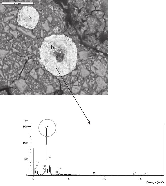 Gjorgievska et al. Water Movement Across Dentin Bonded to Glass-Ionomer Cements 331 Slika 5.