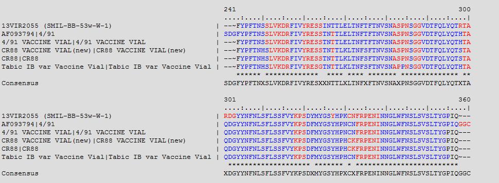 4/91 field virus EU cloacal swabs - epitope mismatch with vaccine 53 week old broiler parents vaccinated with 4/91 at 14d & 10w, Ma5 at 8w and IB Primer at 1d: Ct Value 28.