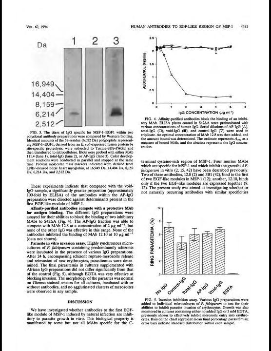 No inhibition by human anti-msp1 Abs at 1 mg/ml