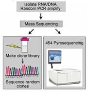 Pyrosequencing - tool in vaccinology?