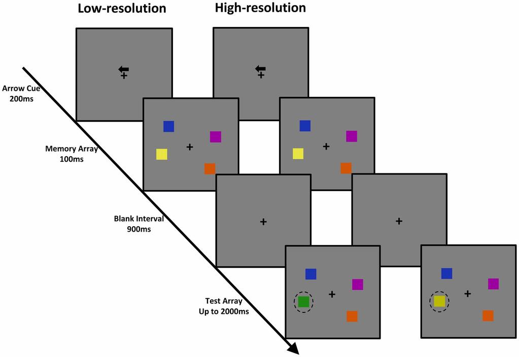 Figure 1. Trial schematic. A low-resolution condition (left) and a high-resolution condition (right) were illustrated.