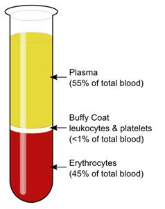 ADME Drug distribution Blood about 5.