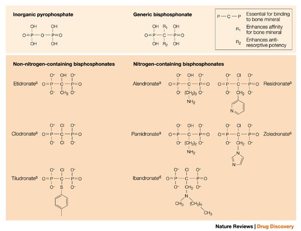 Bisphosphanates Structure Enzyme resistant analogues of pyrophosphate (P-O-P) B: Non-Nitrogen Containing