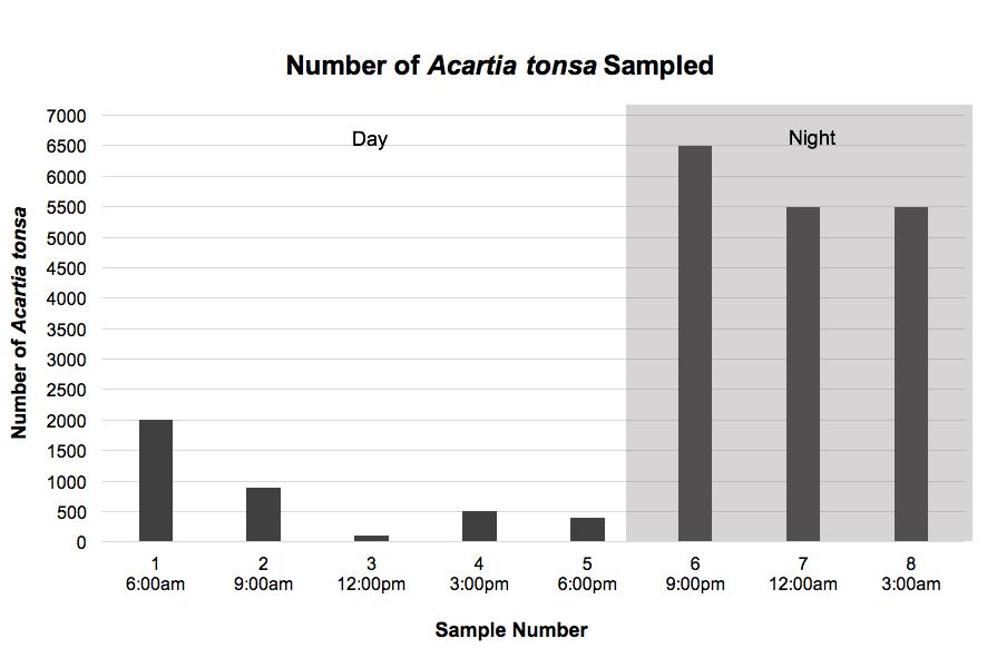 Completed Bar Graph of Acartia tonsa Abundance: Look at your bar graph and answer the following questions. 5. Are there more Acartia tonsa at the surface of the water in the St.