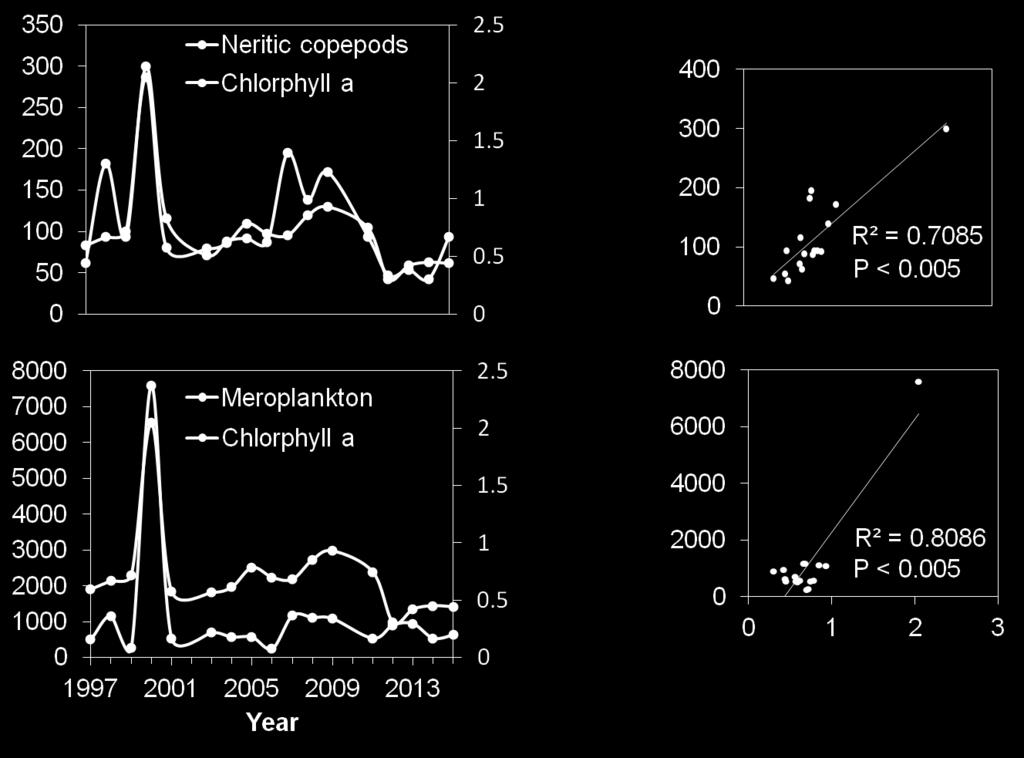 High positive correlation between neritic copepod species and