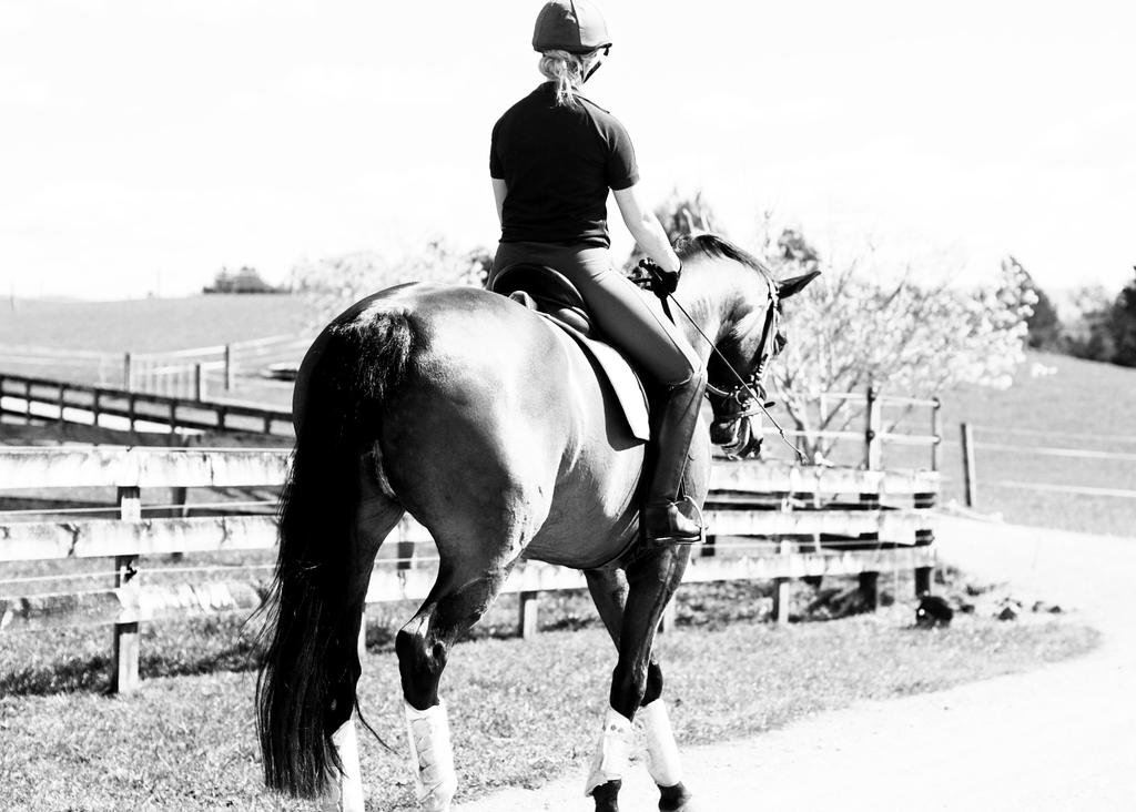 DRESSAGE RIDER FITNESS 101 Build a solid