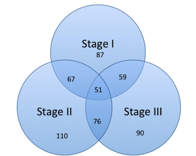 (8 down-regulated and 79 up-regulated), 110 mirnas in FIGO stage II (3 down- and 107 up-regulated), and 90 mirnas in FIGO stage III (5 downand 85 up-regulated) (p < 0.001).