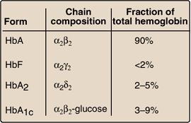 Types of adult hemoglobin 3 6 % HBA: the major hemoglobin in humans HBA2: first appears 12 weeks after birth- a minor component of normal