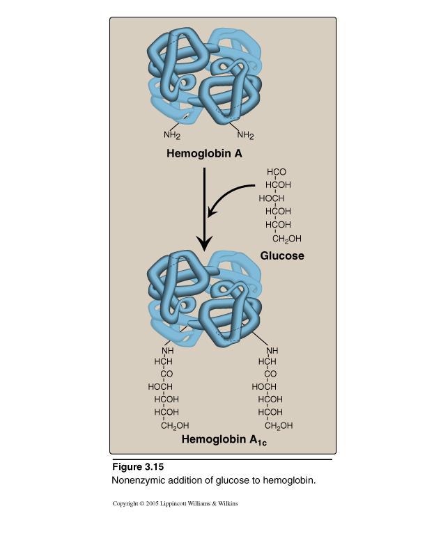 Hemoglobin A1c (HBA1c) Some of hemoglobin A is glycosylated Extent of glycosylation depends on the plasma concentration of a particular hexose (as glucose).