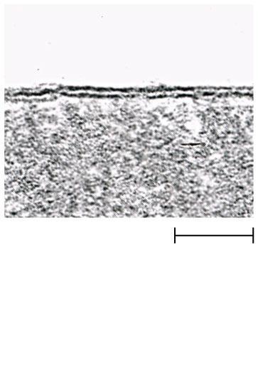 Figure 4.5-1 Outside of cell Inside of cell 0.