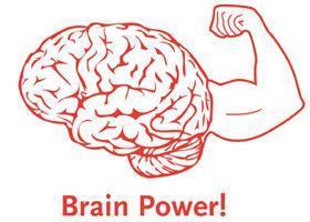 Body Fitness Brain