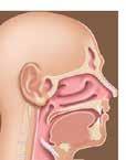 EAR, NOSE, THROAT DISORDERS Clinico-Pathological Quiz ABSTRACT A case of a fleshy, granular, pedunculated growth from the oral cavity will be presented.