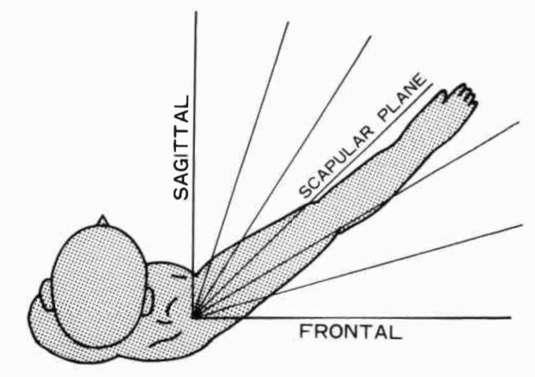 Supraspinatus Abduction Forward elevation ROM: Active forward elevation in scapular