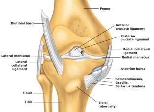 Intra articular Knee Injection Indications