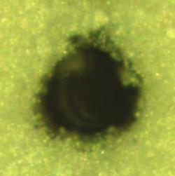 This laser operates in TEM00 mode hence the beam has a Gaussian-distributed intensity profile.