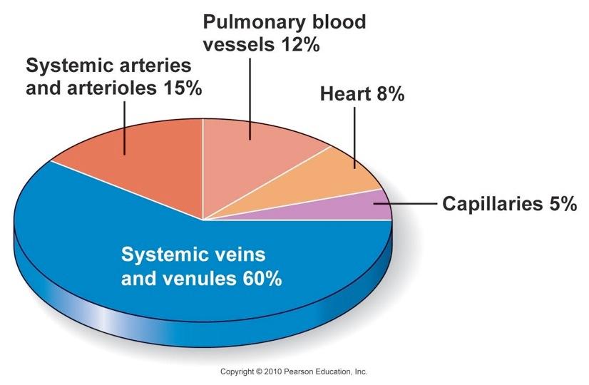 Relative Proportion of Blood Volume