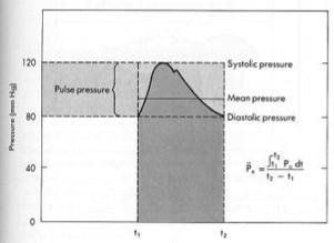 Converting Intermittent Pumping to Continuous Flow The heart is the pump that keeps the fluid circulating. The heart is a pulsatile, intermittent pump.