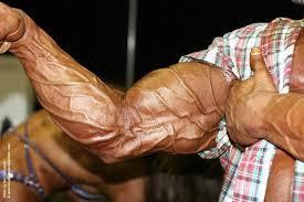 THE PERFECT VEIN?