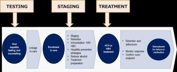 5. AN ACCESSIBLE AND EFFECTIVE TREATMENT CASCADE ACCESSIBLE TREATMENT Effective care and treatment of chronic viral hepatitis is illustrated by the continuum of care diagram (the cascade) below