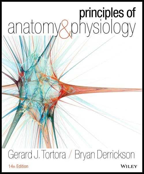 Principles of Anatomy and Physiology 14