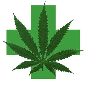 Medical Marijuana Registry Role Issue Medical Marijuana