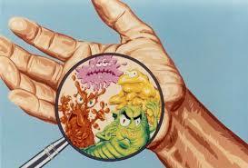 Germs / Pathogens Germs / pathogens are so small that they