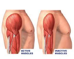 skatig, swimmig Ca icrease muscle stregth but mostly stregthes heart ad icreases edurace Muscle