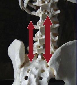 NECK & BACK MSD PROBLEMS: By the time you feel pain, there are often several structures that hurt. Disc issues can stress joints, which can stress ligaments which can cause muscle spasm.