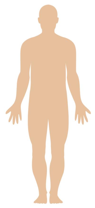 Anatomical Position Anatomical position is the reference point for describing structures of the body in relation