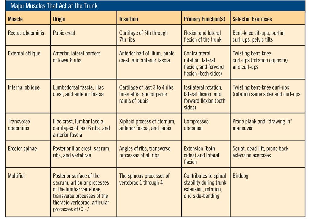 Major Muscles That Act at the Trunk This table lists the origins, insertions,