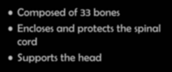 The Vertebral Column Composed of 33 bones